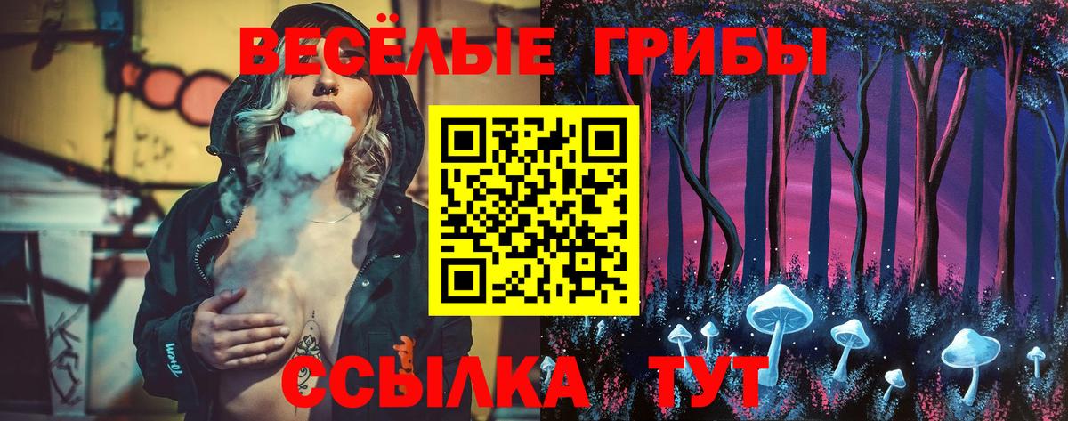 Галлюциногенные грибы прущие грибы Ржев